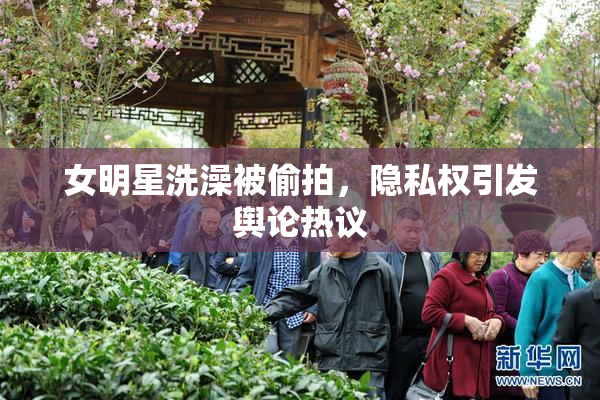 女明星洗澡被偷拍，隐私权引发舆论热议
