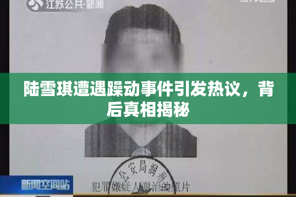 陆雪琪遭遇躁动事件引发热议，背后真相揭秘