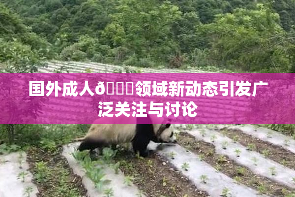 国外成人🔞领域新动态引发广泛关注与讨论