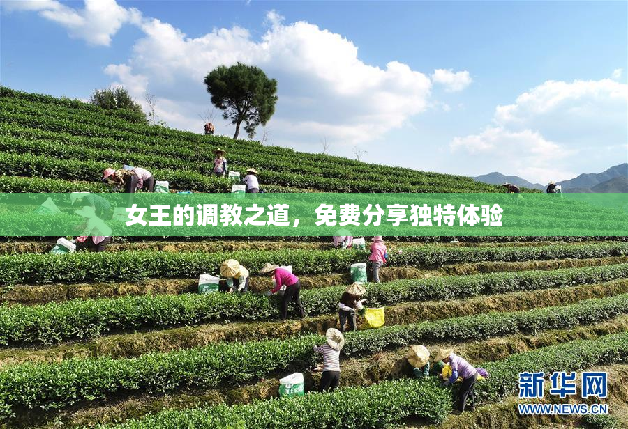 女王的调教之道，免费分享独特体验