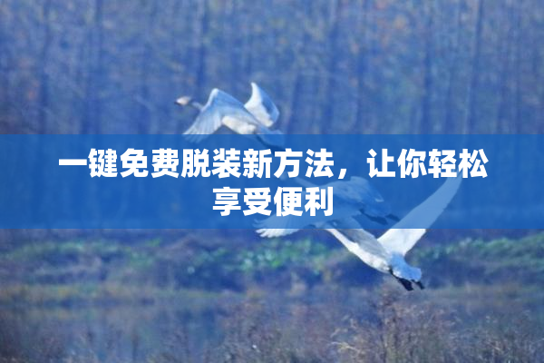 一键免费脱装新方法，让你轻松享受便利