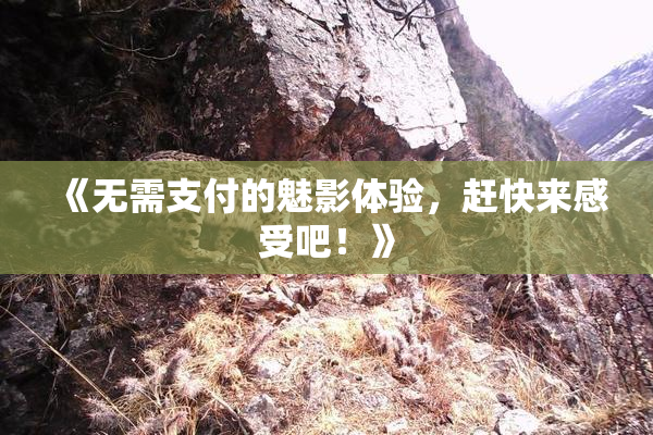 《无需支付的魅影体验，赶快来感受吧！》