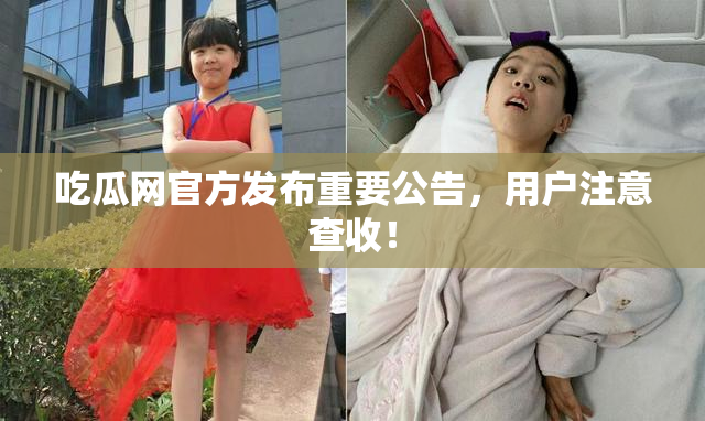吃瓜网官方发布重要公告，用户注意查收！