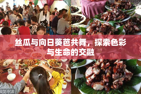 丝瓜与向日葵芭共舞，探索色彩与生命的交融