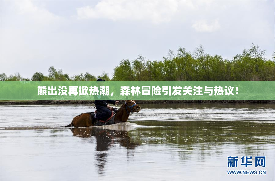 熊出没再掀热潮，森林冒险引发关注与热议！