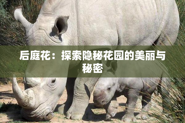 后庭花：探索隐秘花园的美丽与秘密