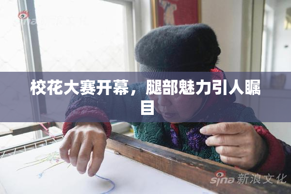 校花大赛开幕，腿部魅力引人瞩目