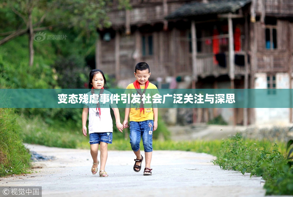 变态残虐事件引发社会广泛关注与深思
