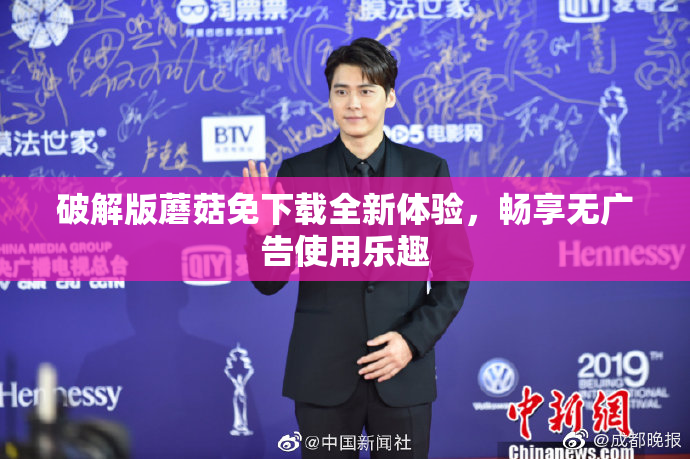破解版蘑菇免下载全新体验，畅享无广告使用乐趣