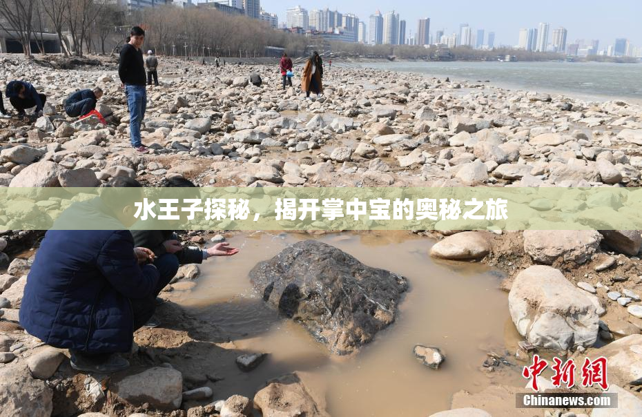 水王子探秘，揭开掌中宝的奥秘之旅