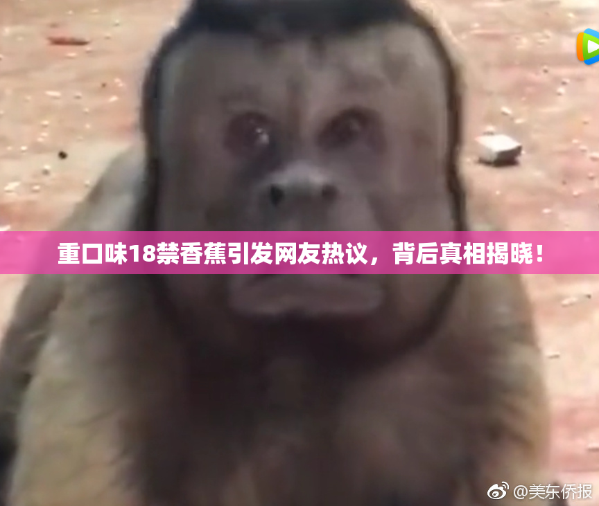 重口味18禁香蕉引发网友热议，背后真相揭晓！