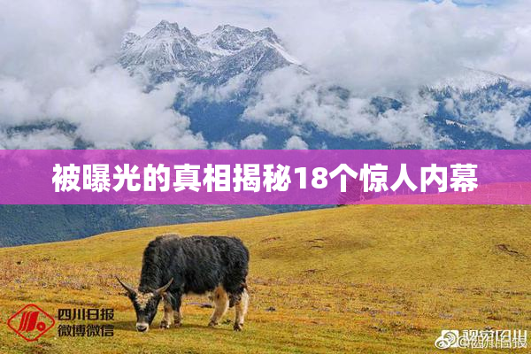 被曝光的真相揭秘18个惊人内幕