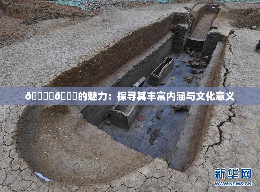 🔞‌🍌的魅力：探寻其丰富内涵与文化意义