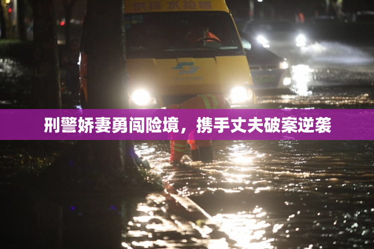 刑警娇妻勇闯险境，携手丈夫破案逆袭