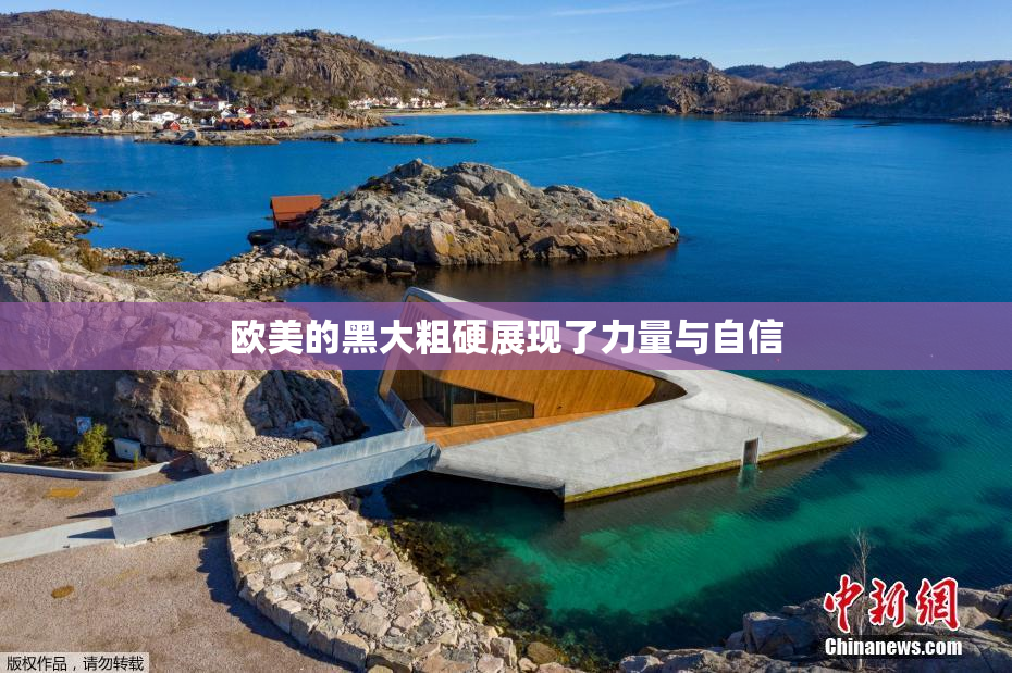 欧美的黑大粗硬展现了力量与自信