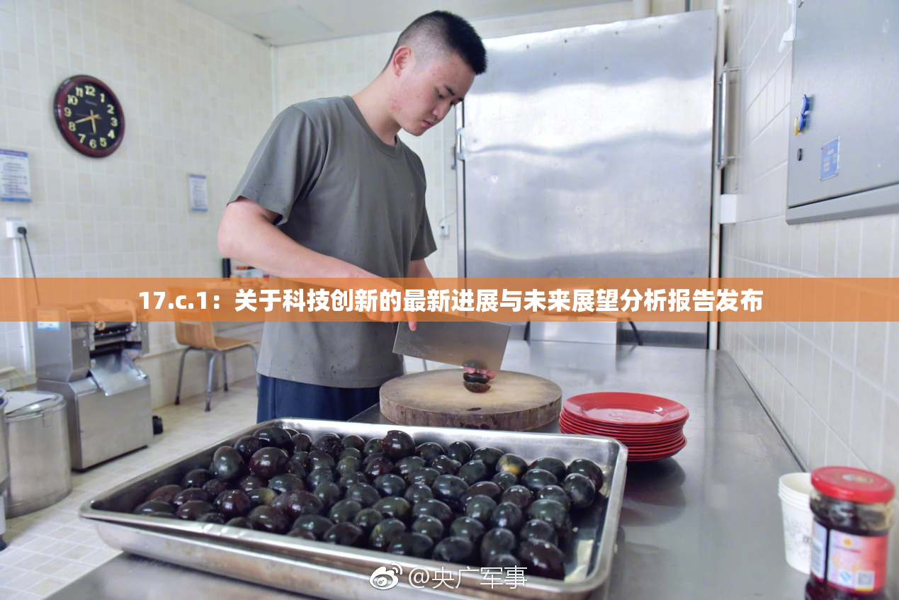 17.c.1：关于科技创新的最新进展与未来展望分析报告发布