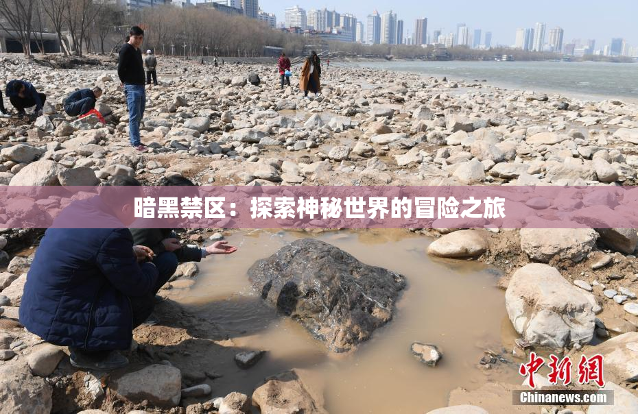 暗黑禁区：探索神秘世界的冒险之旅