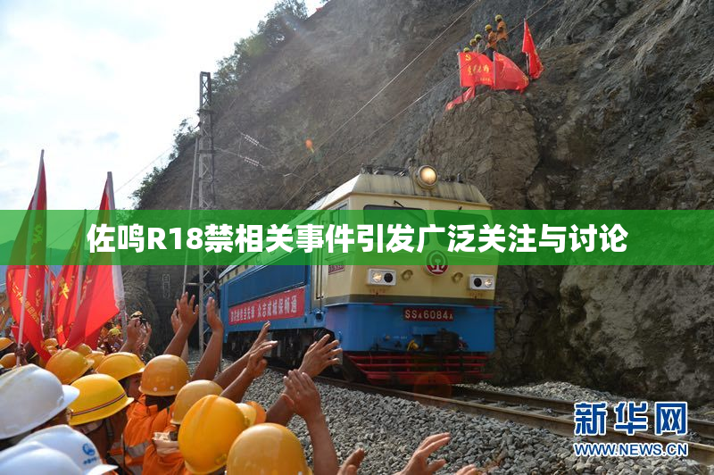 佐鸣R18禁相关事件引发广泛关注与讨论