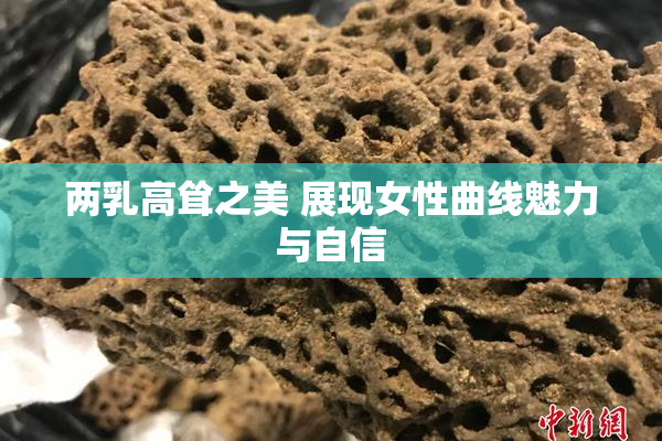 两乳高耸之美 展现女性曲线魅力与自信