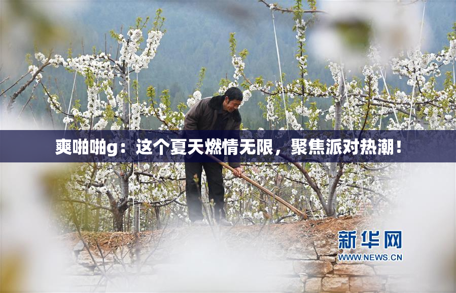 爽啪啪g：这个夏天燃情无限，聚焦派对热潮！