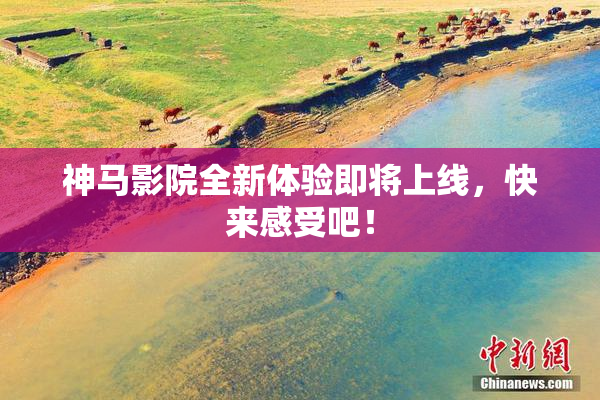 神马影院全新体验即将上线，快来感受吧！