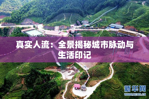 真实人流：全景揭秘城市脉动与生活印记