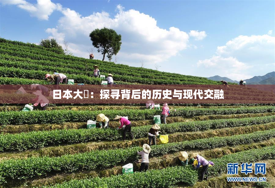日本大隂：探寻背后的历史与现代交融