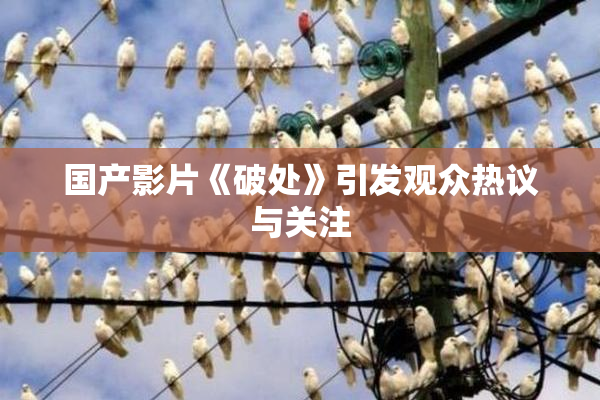 国产影片《破处》引发观众热议与关注