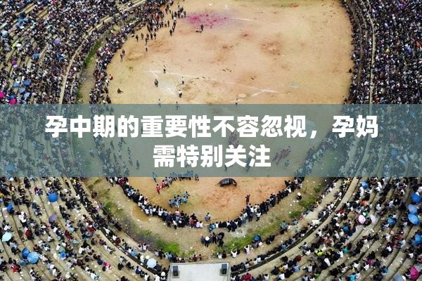 孕中期的重要性不容忽视，孕妈需特别关注