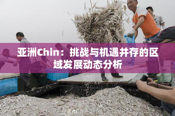 亚洲Chin：挑战与机遇并存的区域发展动态分析