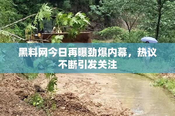 黑料网今日再曝劲爆内幕，热议不断引发关注