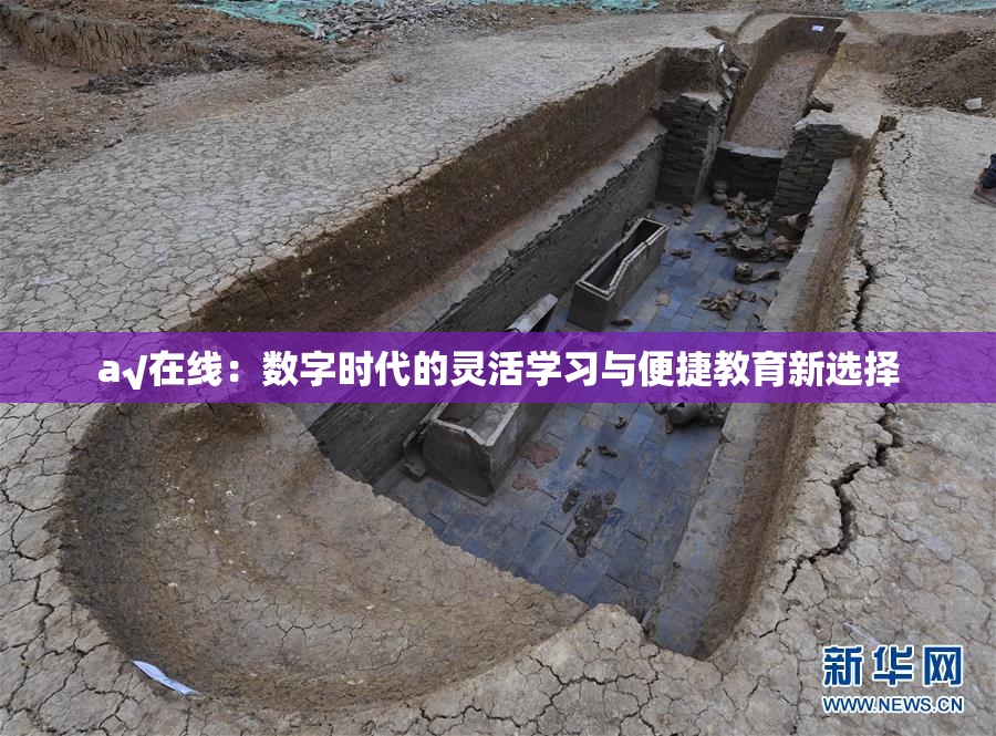 a√在线：数字时代的灵活学习与便捷教育新选择