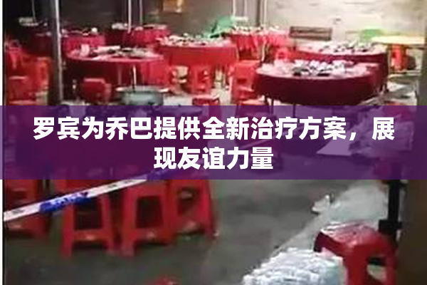 罗宾为乔巴提供全新治疗方案，展现友谊力量