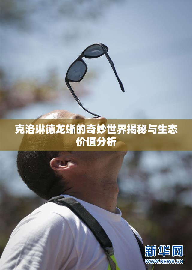 克洛琳德龙蜥的奇妙世界揭秘与生态价值分析