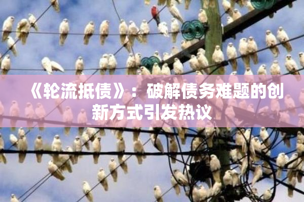 《轮流抵债》：破解债务难题的创新方式引发热议