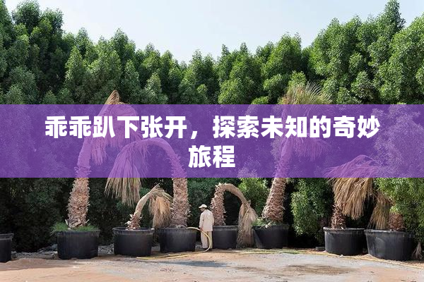 乖乖趴下张开，探索未知的奇妙旅程