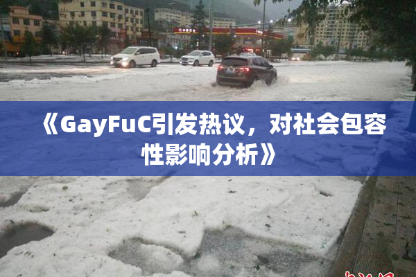 《GayFuC引发热议，对社会包容性影响分析》