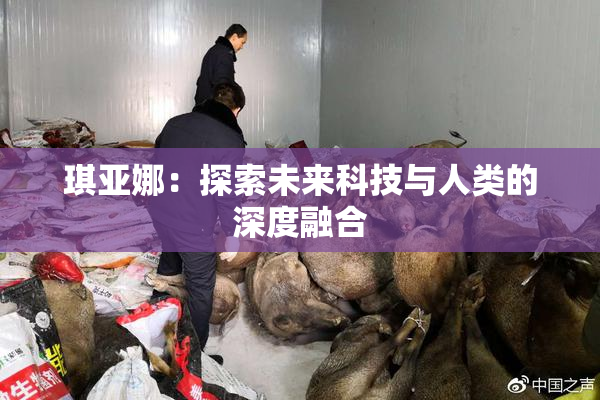 琪亚娜：探索未来科技与人类的深度融合