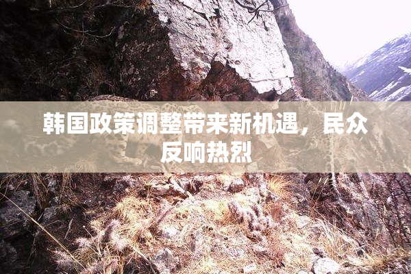 韩国政策调整带来新机遇，民众反响热烈