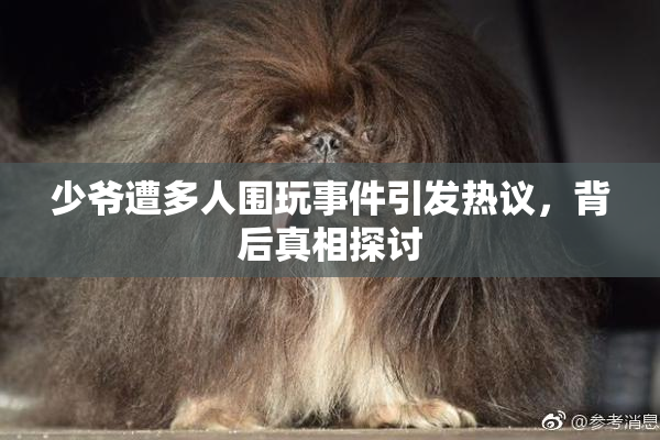 少爷遭多人围玩事件引发热议，背后真相探讨