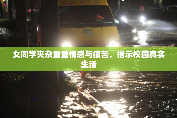 女同学夹杂重重情感与痛苦，揭示校园真实生活