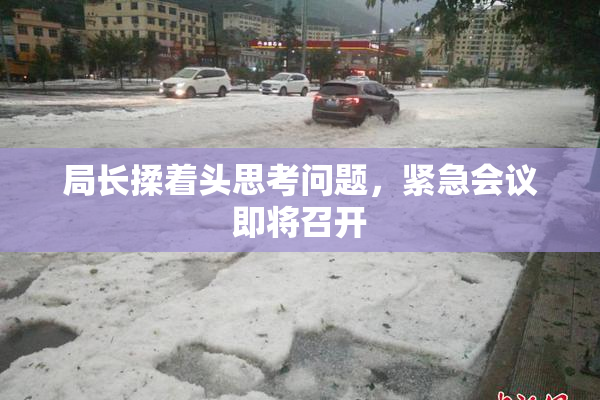 局长揉着头思考问题，紧急会议即将召开
