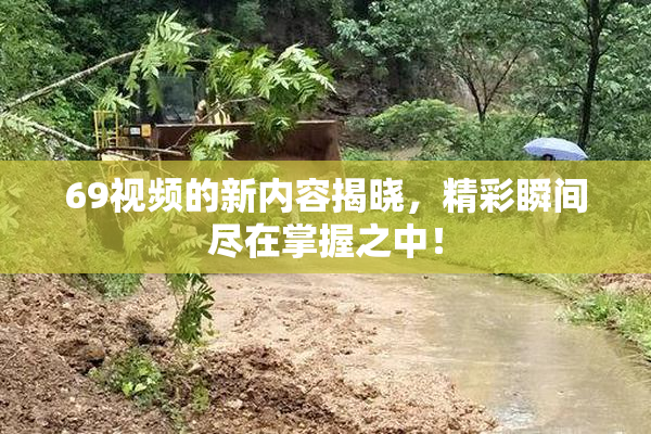 69视频的新内容揭晓，精彩瞬间尽在掌握之中！