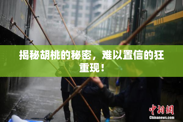 揭秘胡桃的秘密，难以置信的狂重现！