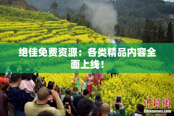 绝佳免费资源：各类精品内容全面上线！