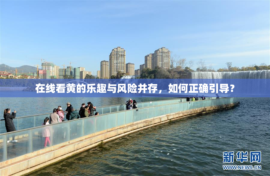 在线看黄的乐趣与风险并存，如何正确引导？