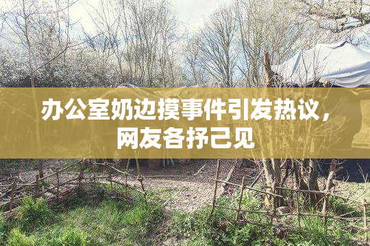 办公室奶边摸事件引发热议，网友各抒己见