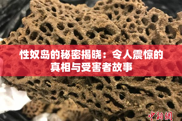 性奴岛的秘密揭晓：令人震惊的真相与受害者故事