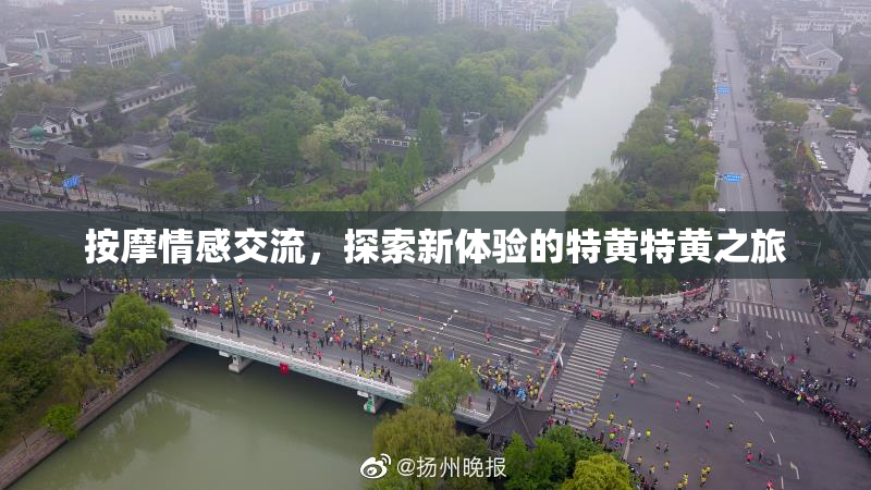 按摩情感交流，探索新体验的特黄特黄之旅