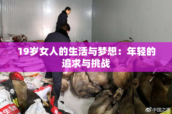 19岁女人的生活与梦想：年轻的追求与挑战